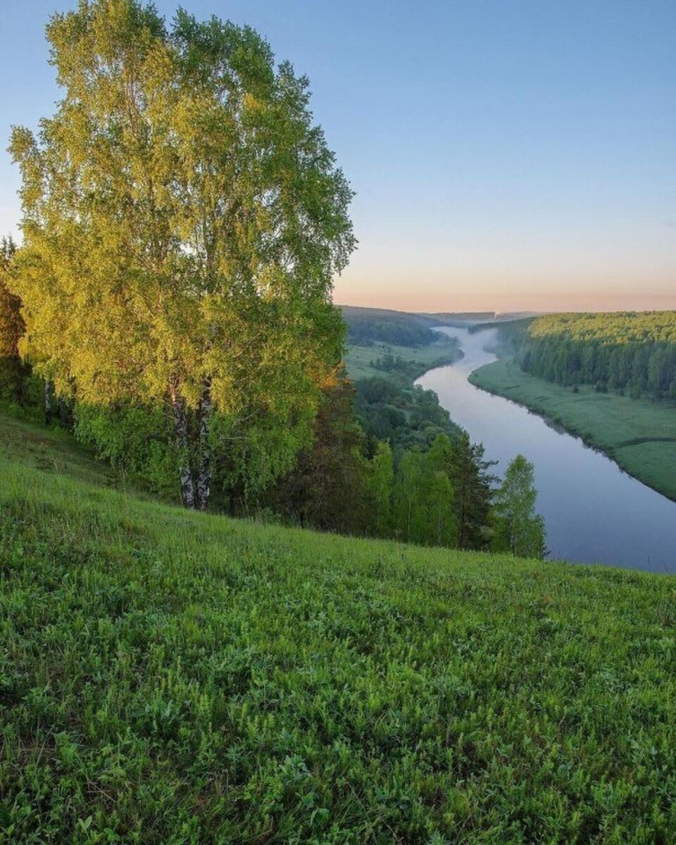 Яндекс-картинки. 