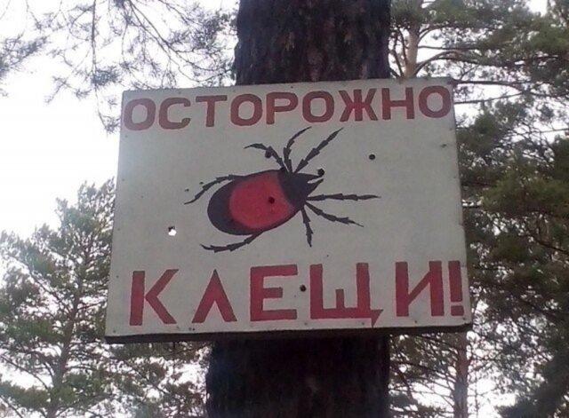    Осторожно, клещи! (cc) egor347