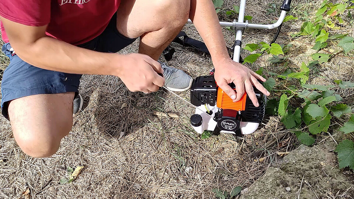 Первая заводка