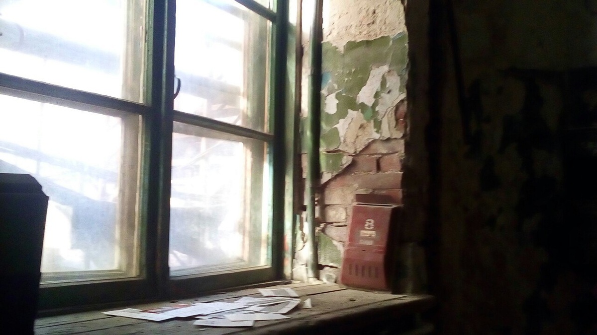    //Фото: Виктория Некрасова