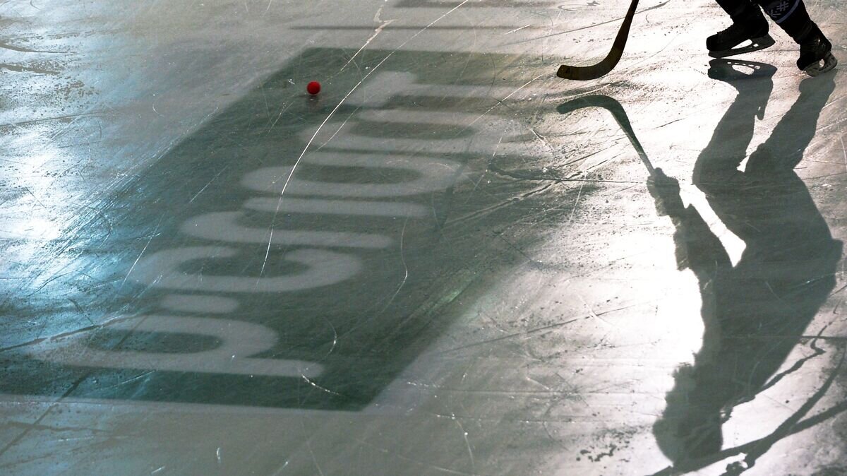    Хоккей с мячом© РИА Новости / Максим Богодвид