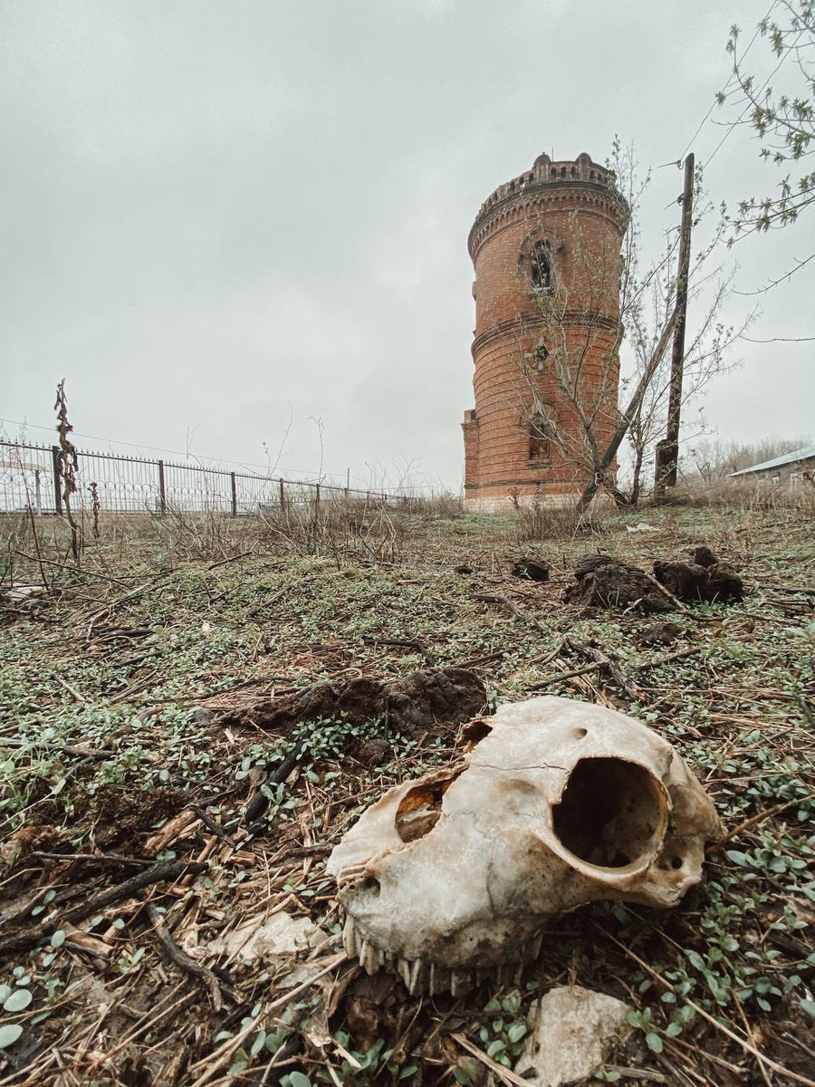 Поселок Эльтон. Фото автора