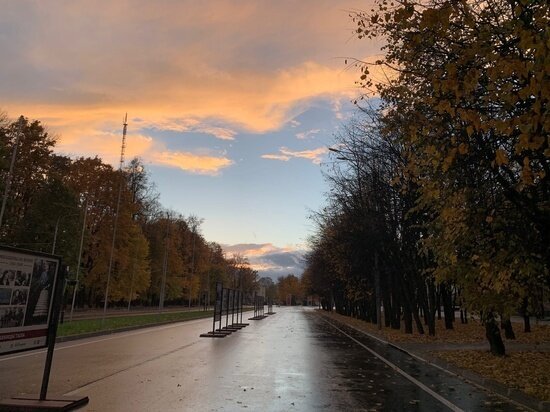     фото: Алена Шашкина