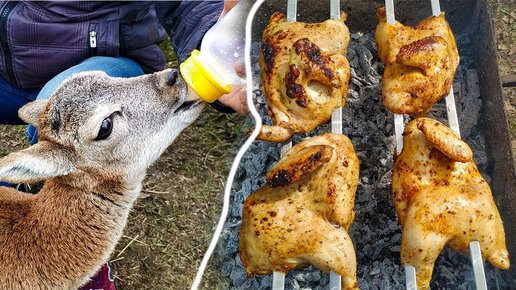 Куриный шашлык в маринаде из аджики и сметанного майонеза