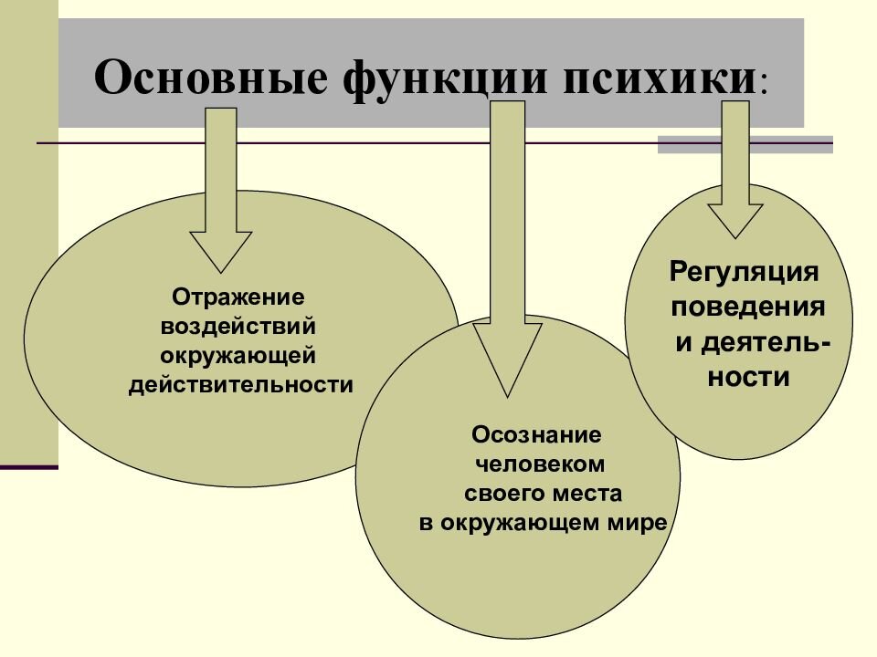 Назовите основные функции психики приведите примеры