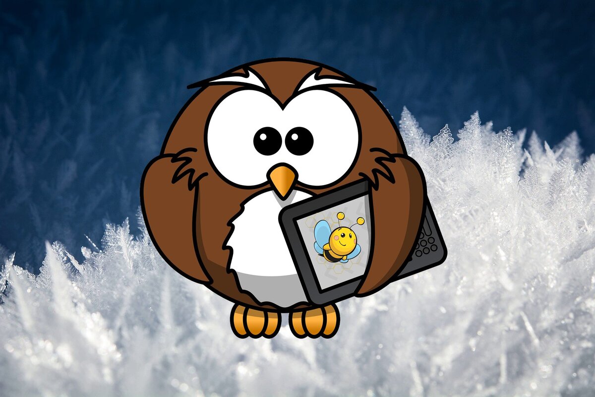 Питание матки во время зимовки пчёл