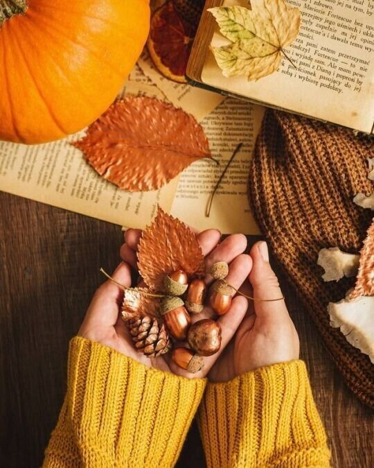 Осень красота вдохновение