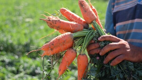   © Министерство сельского хозяйства Республики Узбекистан