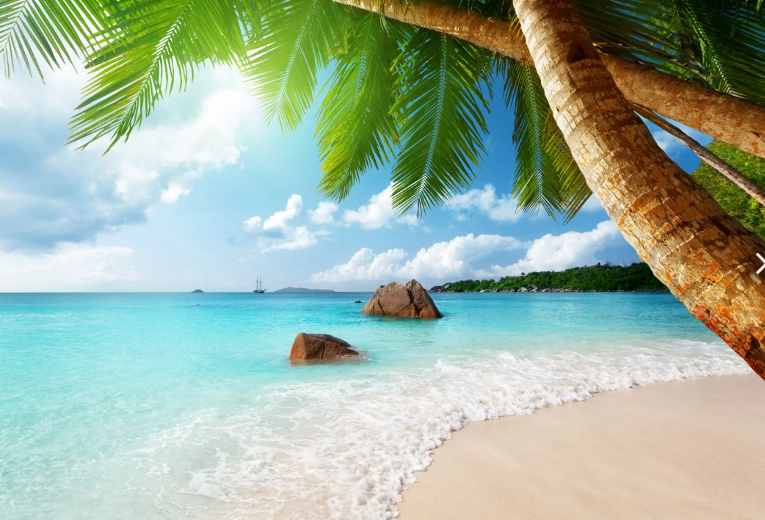 Мне бы хотелось исключительно таких снов)) Фото из свободного источника.