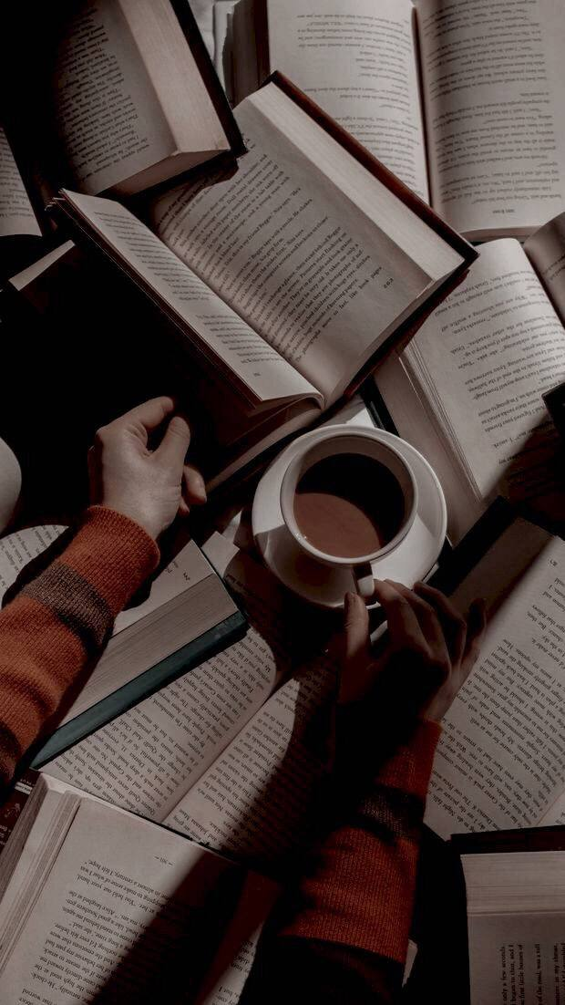 Фото взято из сети интернет