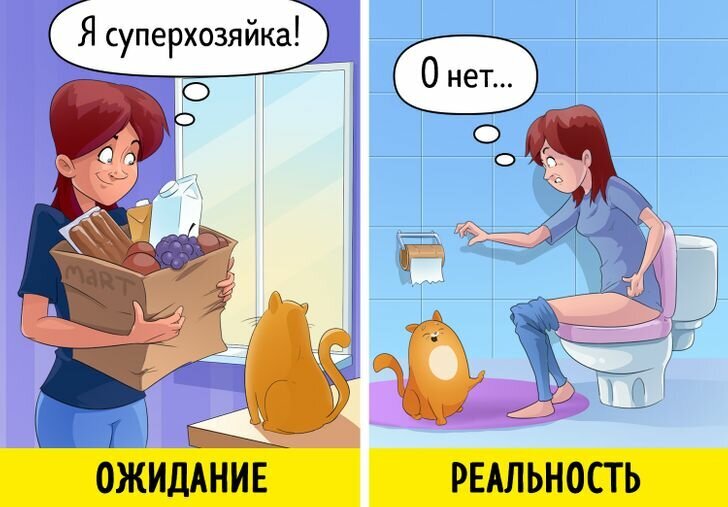 Добавьте описание