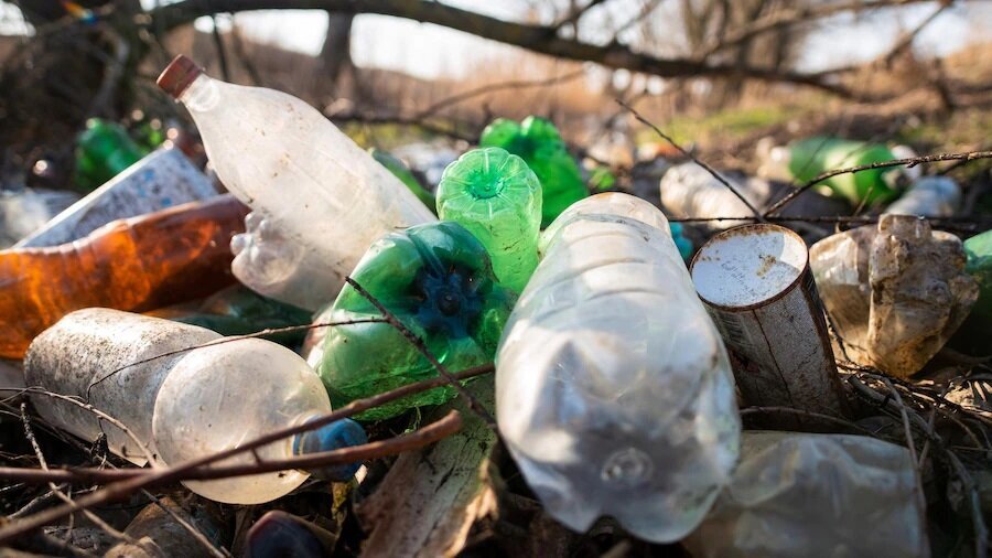 Новая свалка может загрязнить весь Раменский округ и не только. Фото: ru.freepic.com