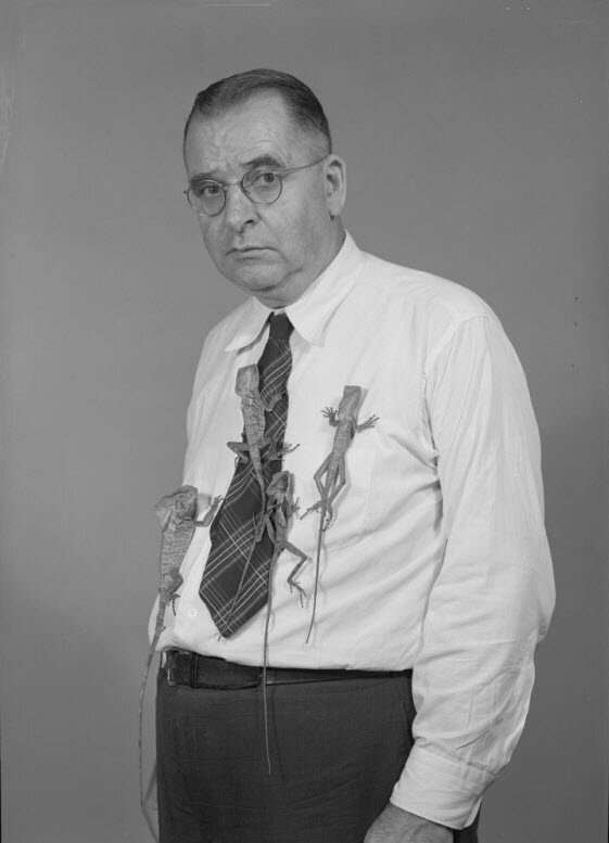 Карл Патерсон Шмидт