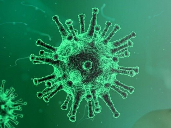     фото: pixabay.com