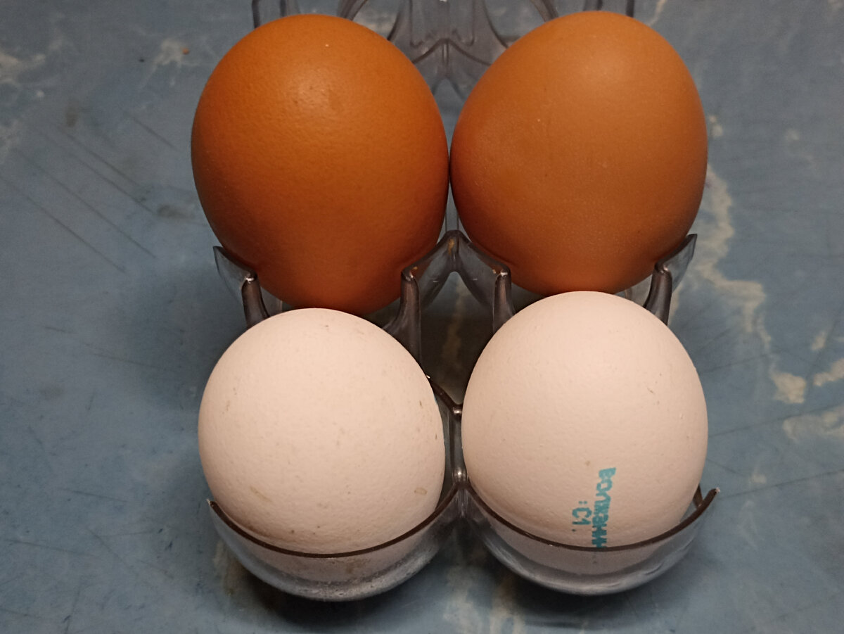 Яичная скорлупа ценна содержанием кальция. Фото автора