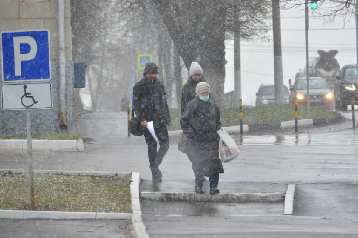    8 ноября в Тульской области прогнозируют небольшой снег с дождем