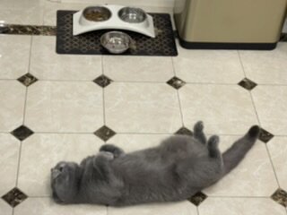 "кто меня вкуснее всех покормит?"