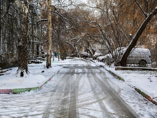     Фото: Густаво Зырянова/Сиб.фм