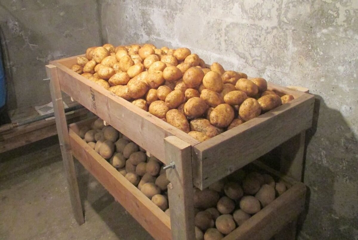 Ящик для хранения картошки в погребе