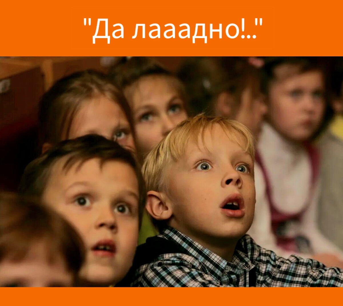 Фото в редакции автора