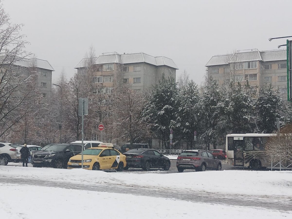 Редкий случай - фото мое. Снято возле работы сегодня утром