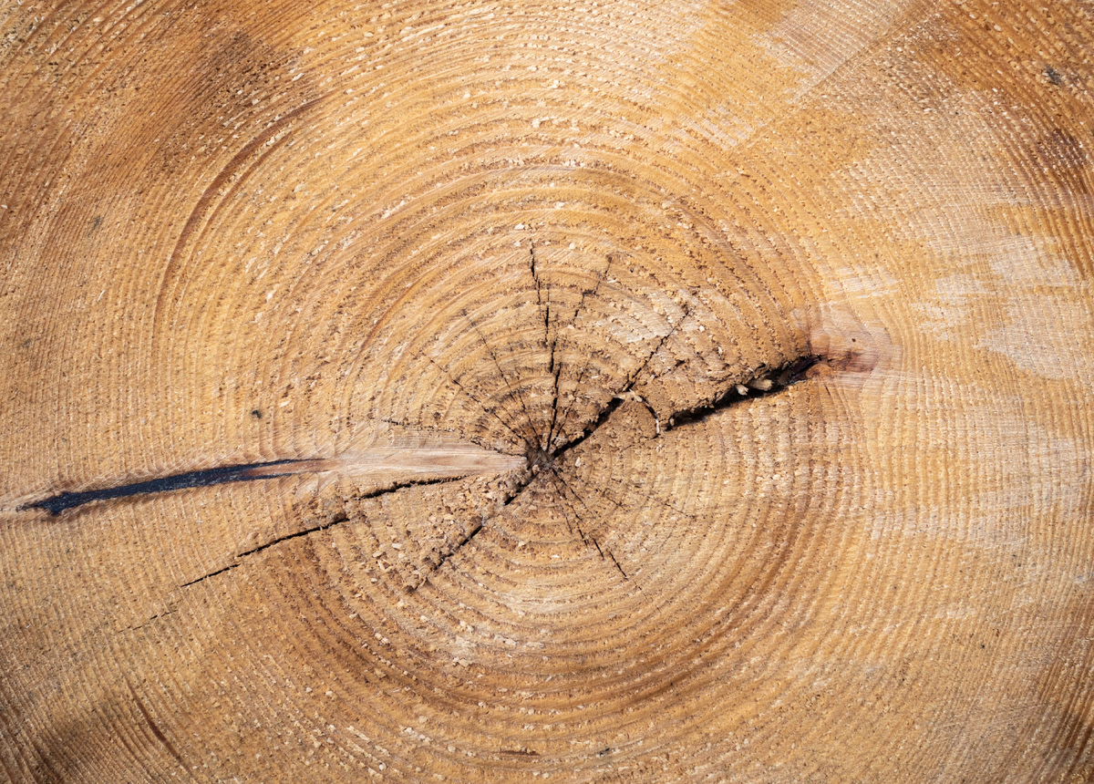 Фото: iStock