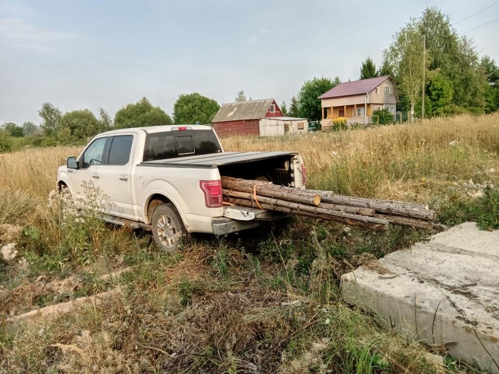 Немного брошенных лесорубами бревнышек, часть из которых пошли на каркас сарая, остальные - в дрова