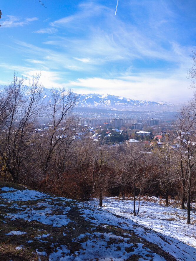 Вид на город