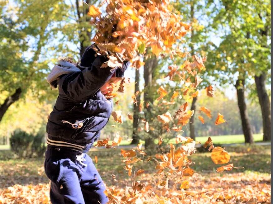Фото прощание с осенью. Прощание с осенью в октябре стоит. Осень это новая глава. Прощание с осенью. Ноябрь прощание с осенью.