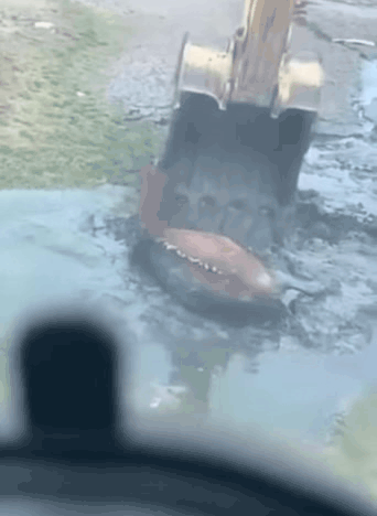 Взято из открытого источника