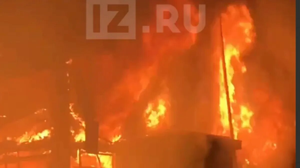 Фото: скрин с видео