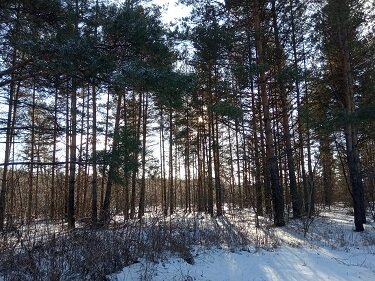 Фотография из личного архива автора