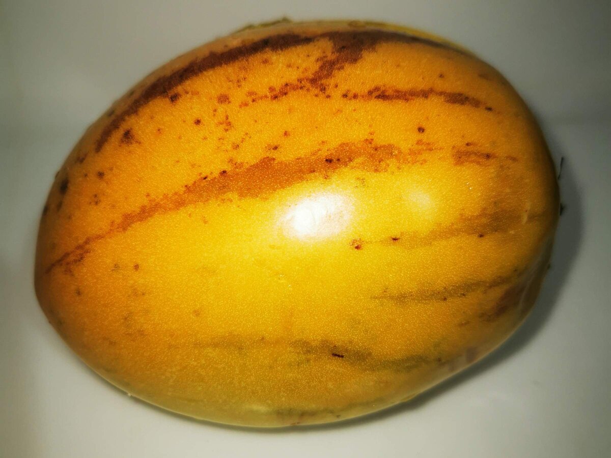 Герой нашего поста - чудо фрукт пепино