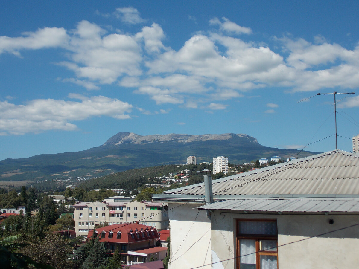 Как купить недвижимость в Крыму и не попасть в неприятности? | Переезжаю в  Крым: жизнь на два дома | Дзен