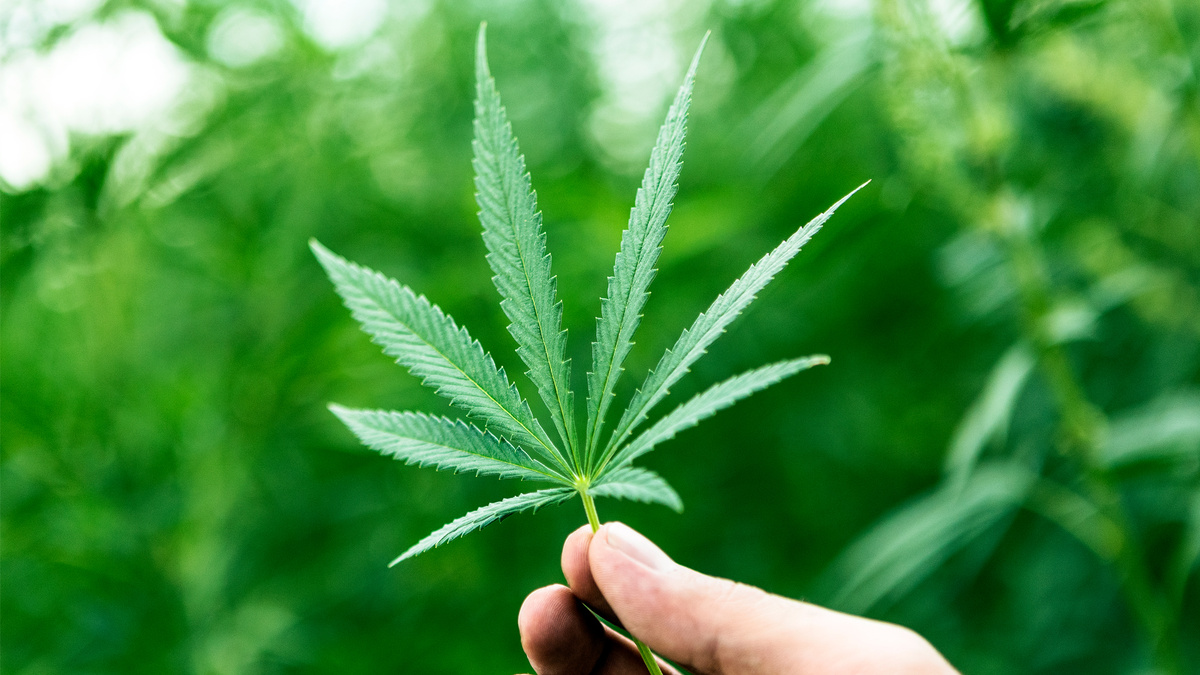 Фото: Yandex Collections - фото используется в качестве иллюстрации