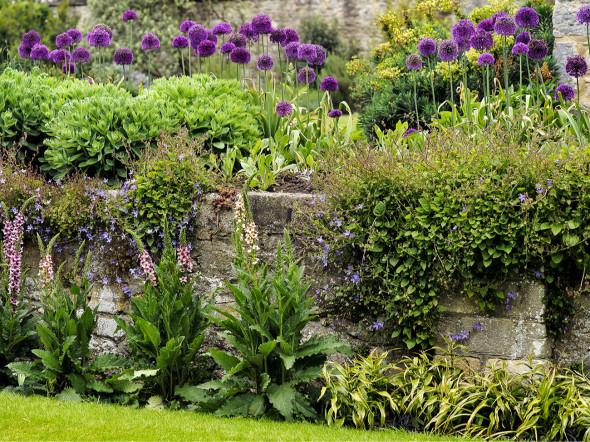 Подготовка почвы и улучшение ее качества