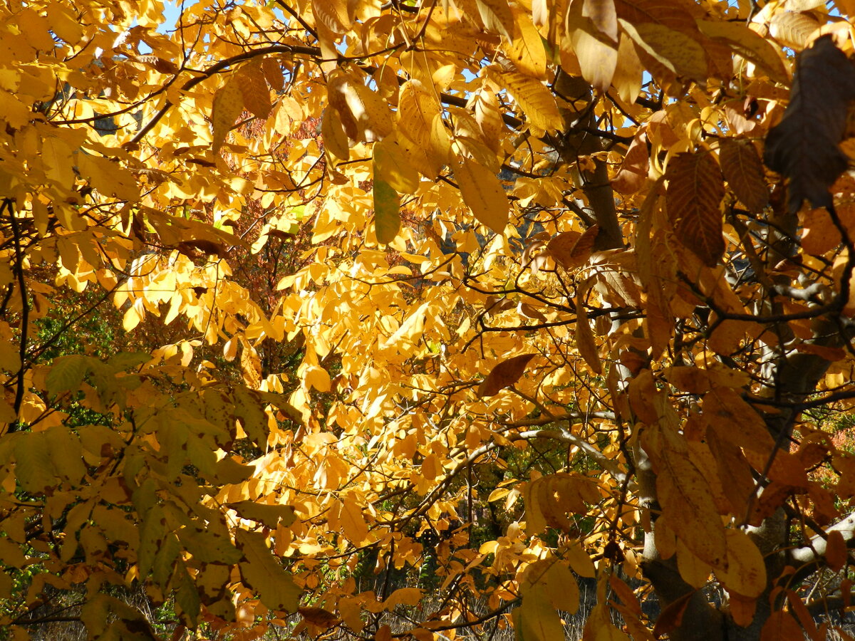 фото И.Сотниковой