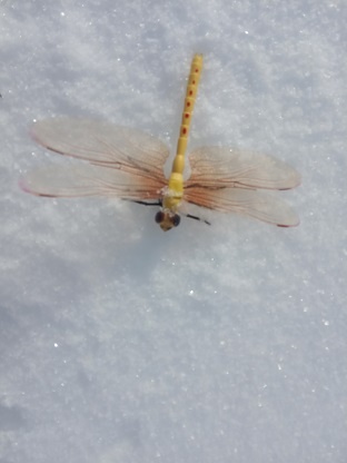 Фотография из личного архива автора