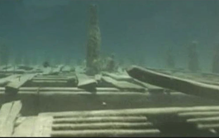 Фото: открытый источник.