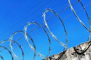    Фото: iStock Ирина Амелина