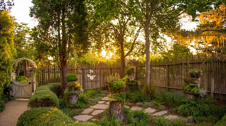 Картинка взята в интернете