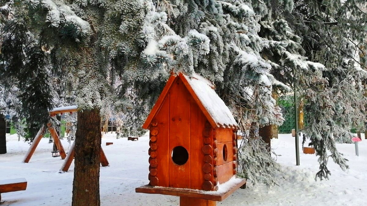 Фото автора