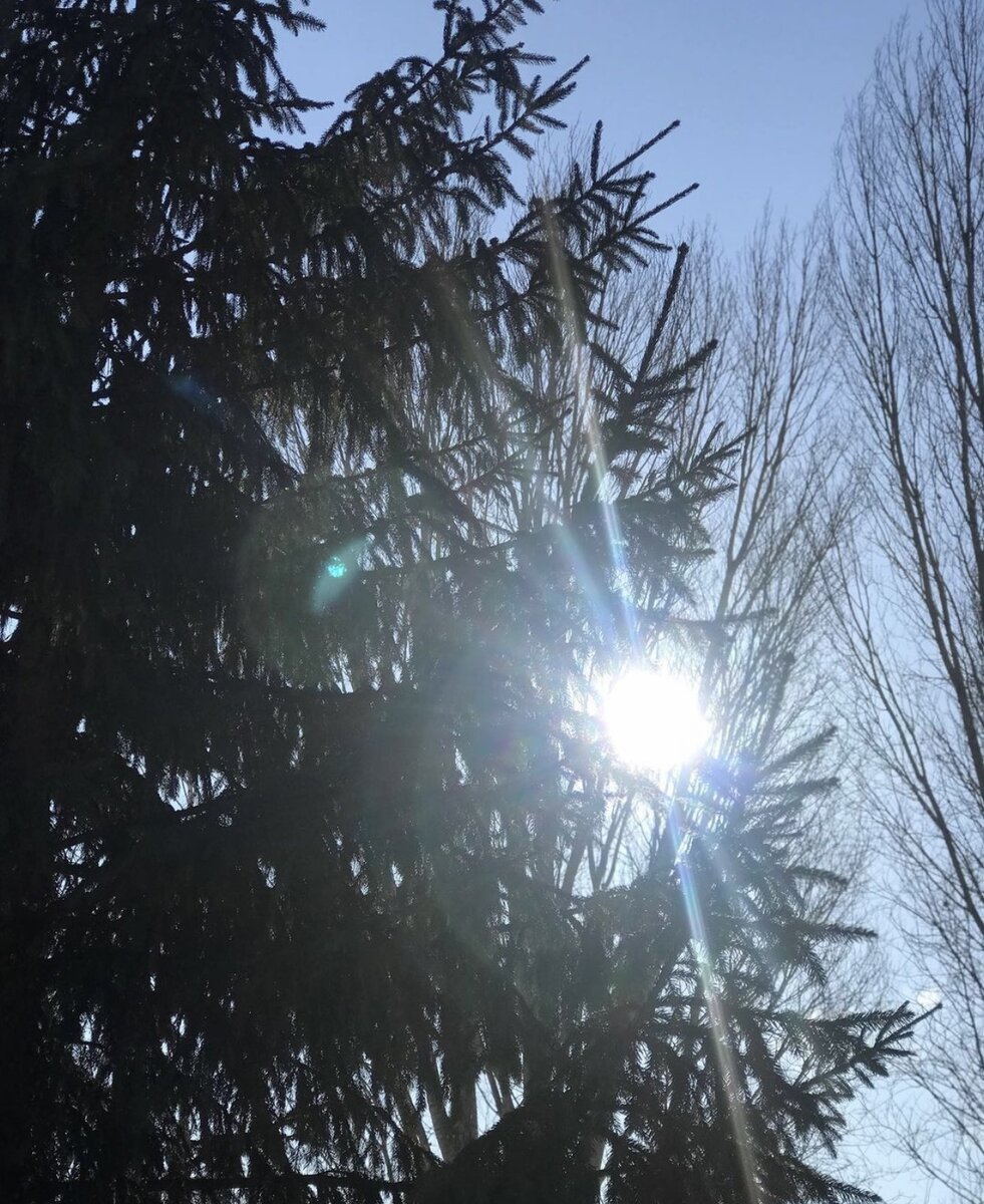 Фото Автора канала.