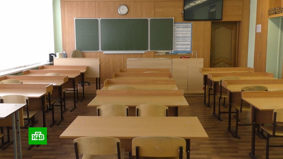    Школам рекомендовали отпускать классы на дистанционку в случае заболевания гриппом 20% учеников
