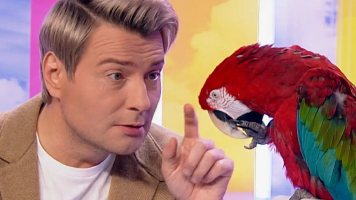 Николай Басков. Фото: стоп-кадр «Утренняя почта»