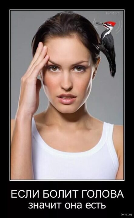 Фото взято из интернета 