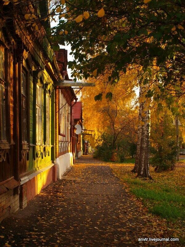 Золотая улица городе. Осенняя улица. Улица осенью. Осень во дворе. Осенние улицы города.