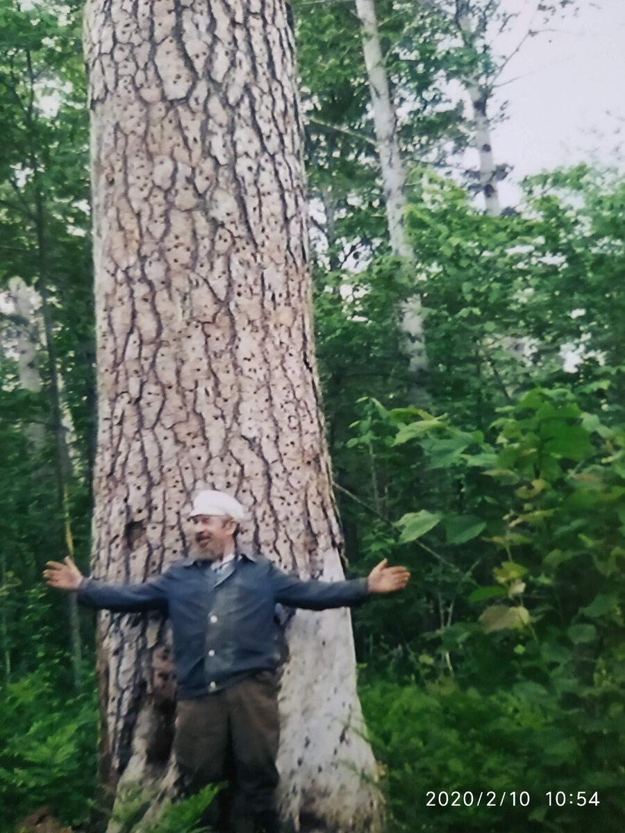 Учителю посвящается.