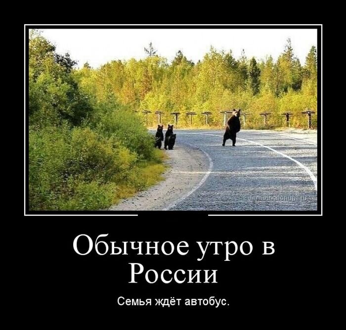 картинка с открытых источников