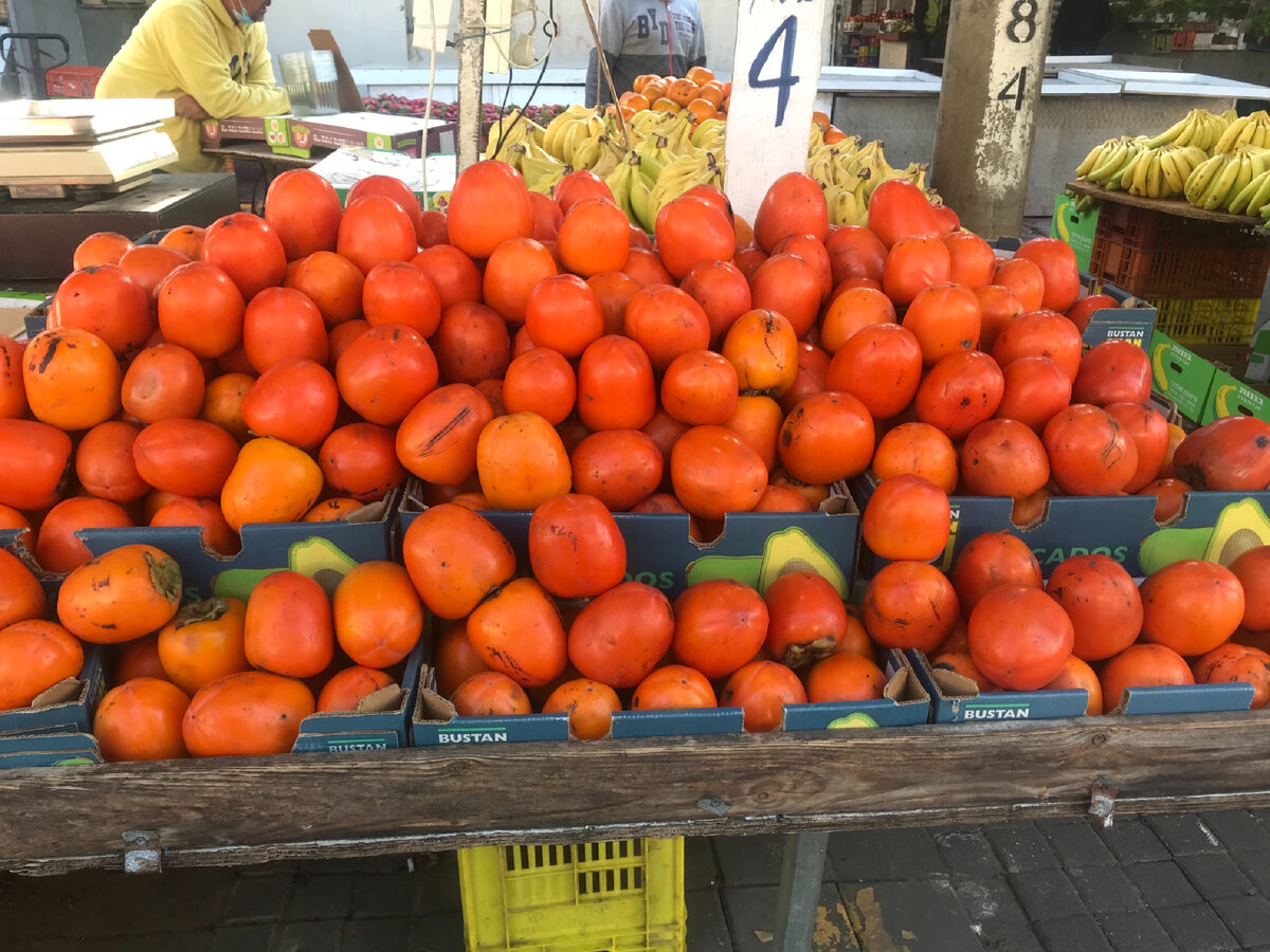 Сезон хурмы в Израиле. 